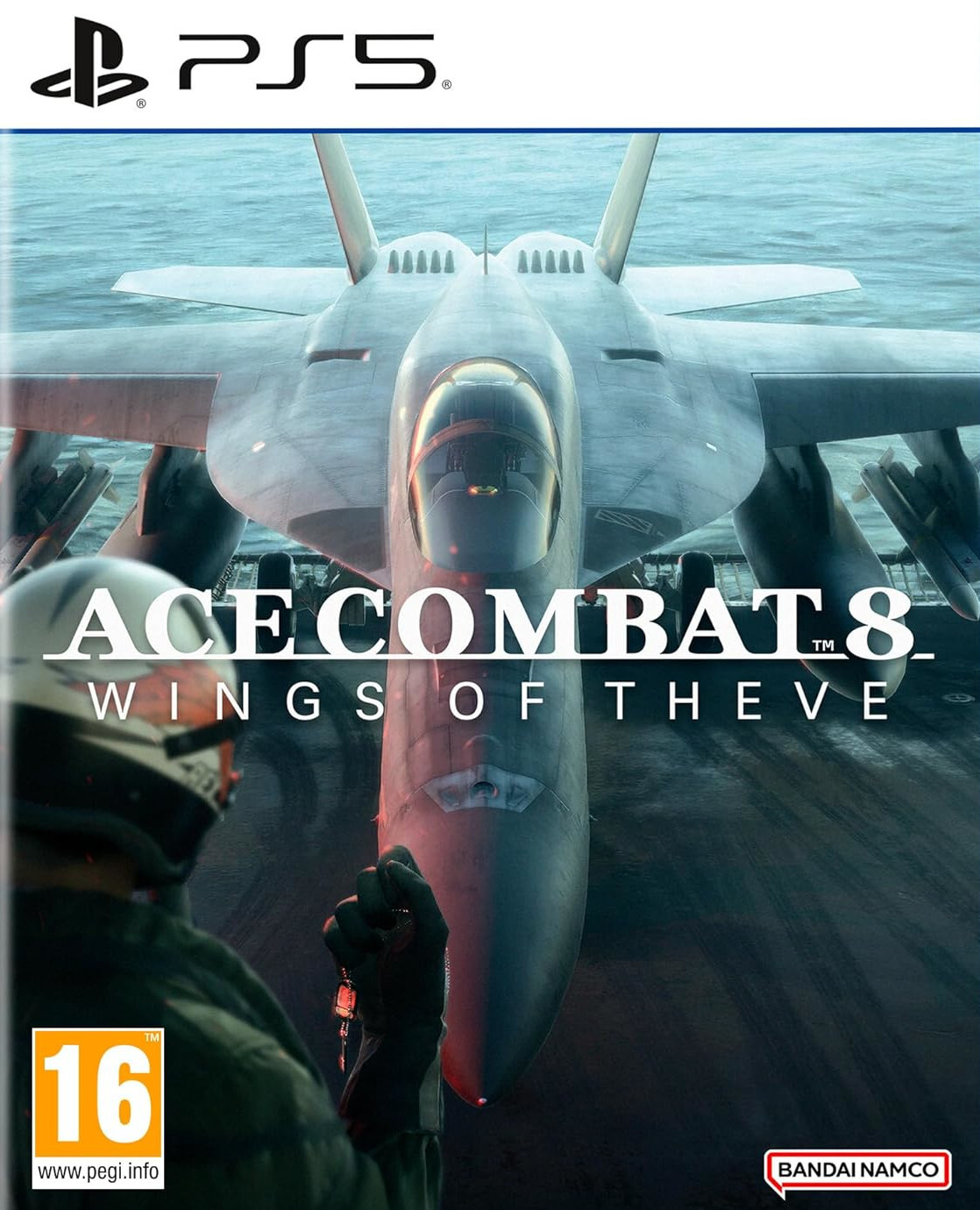 Ace Combat 8: Wings of Theve